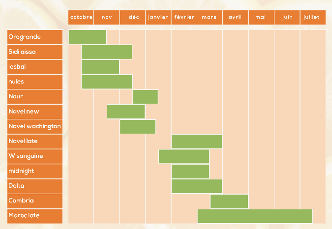our production planning